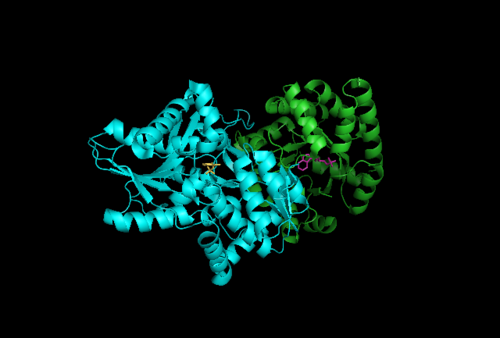 Tryptophan synthase